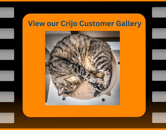 These organizations have chosen CRIJO for their cat enrichment needs!