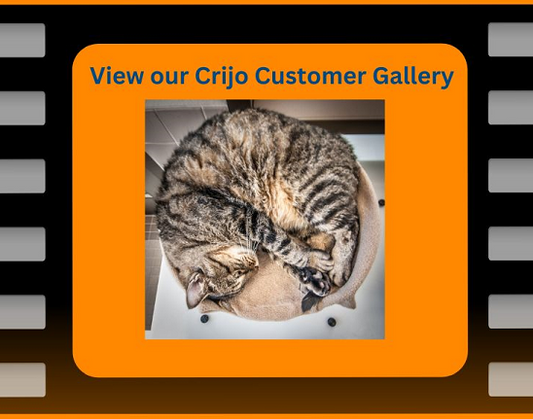 These organizations have chosen CRIJO for their cat enrichment needs!