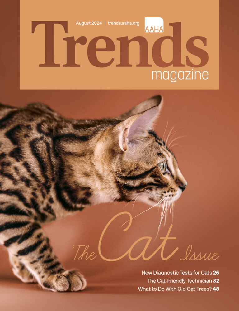 Grant Smith's Vision For A Better Cat Tree: Featured in AAHA Trends August '24