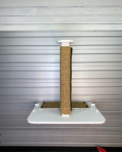 Adventure Scratch Post